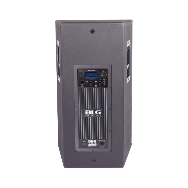 RXA15P964P-DSP